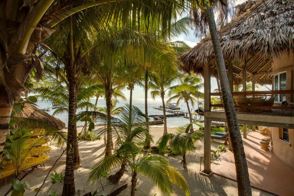 Xanadu Island Resort San Pedro  Eksteriør bilde