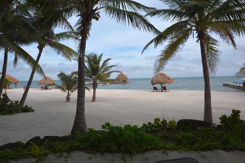 Xanadu Island Resort San Pedro  Eksteriør bilde